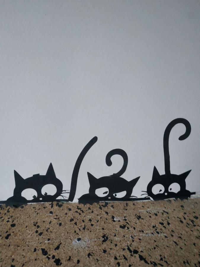 Hotel Lucky Cat Nová Lesná Esterno foto